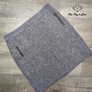 Ann Taylor Petite Mini Skirt Size 10P